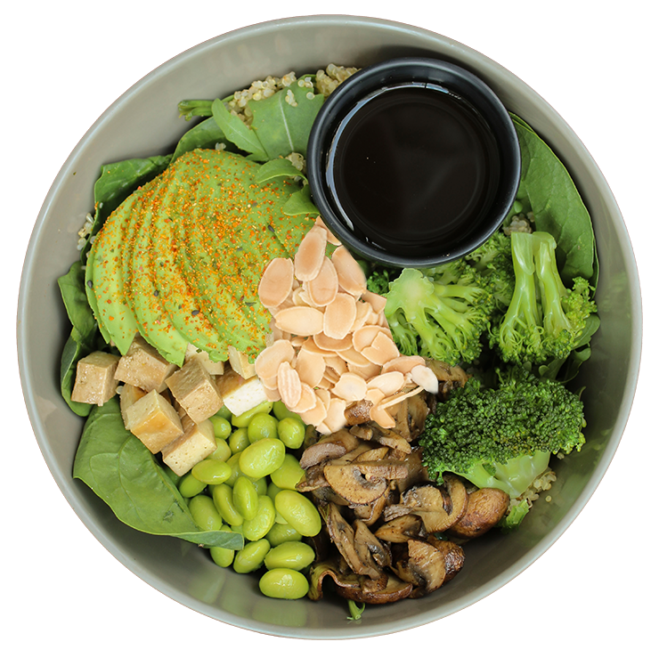 Teriyaki Protein Bowl Mora Mora