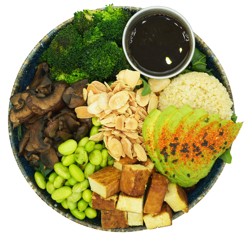 Teriyaki Protein Bowl
